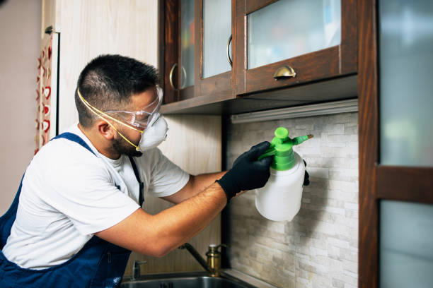 Best Cockroach Control Services  in Richfield, UT