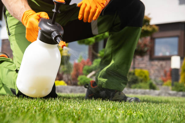 Best Pest Inspection Near Me  in Richfield, UT
