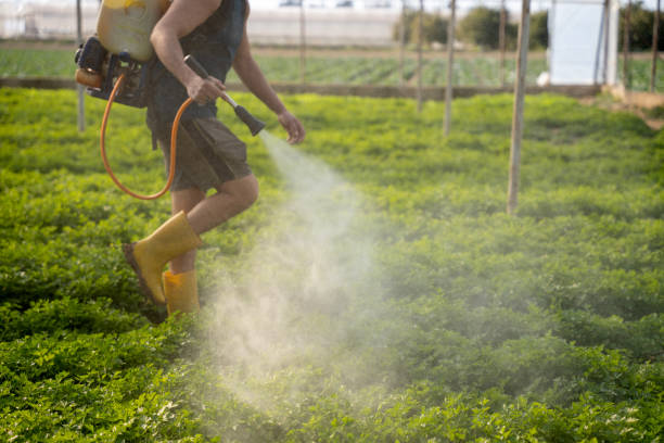 Best Best Pest Control Companies  in Richfield, UT