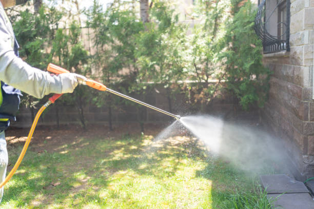 Best Pest Removal Services  in Richfield, UT