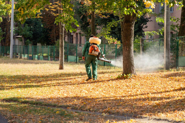 Best Flea Control Services  in Richfield, UT
