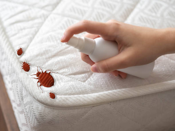 Pest Control Cost in Richfield, UT
