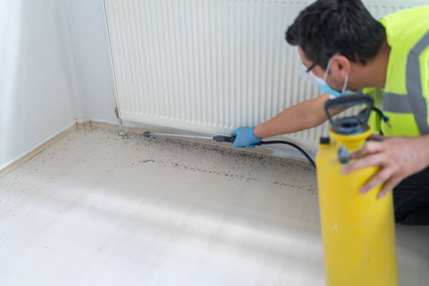 Best Affordable Pest Control Services  in Richfield, UT