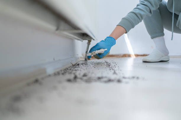 Best Commercial Pest Control Services  in Richfield, UT