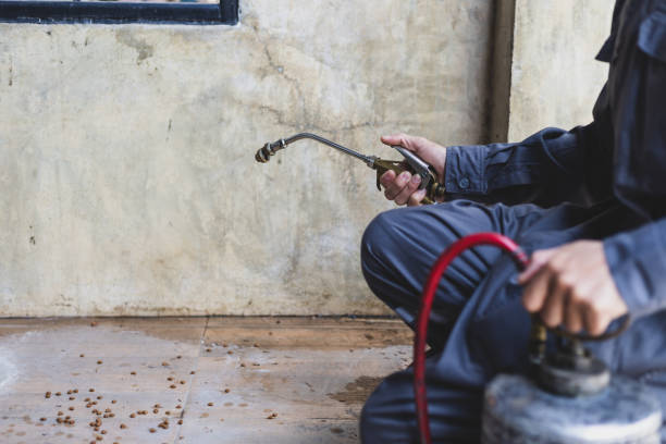 Best Best Pest Control Companies  in Richfield, UT